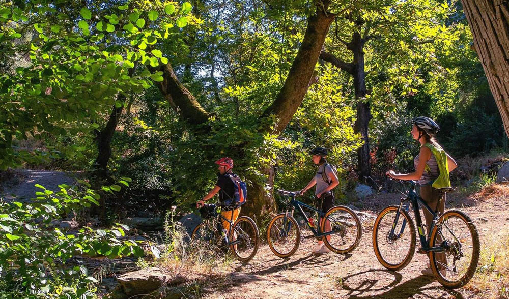 Pelion forest cycling holiday